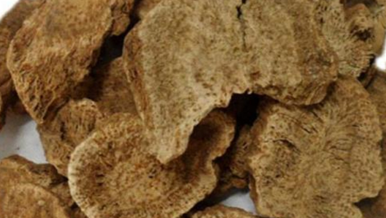 云木香的功效与作用、禁忌和食用方法