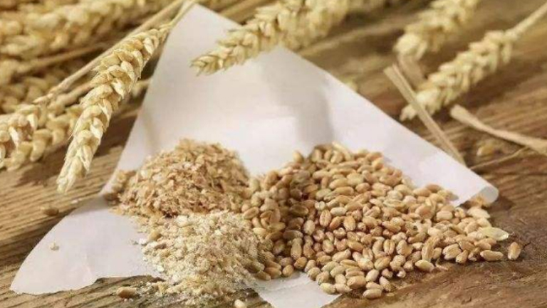 麦麸的功效与作用、禁忌和食用方法