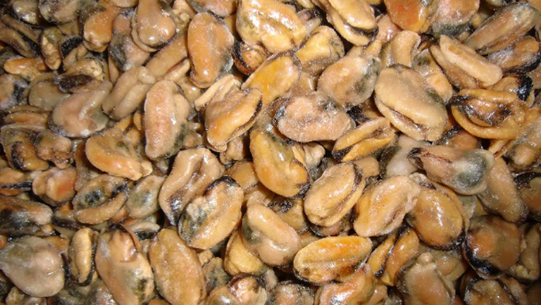 淡菜仔的功效与作用、禁忌和食用方法