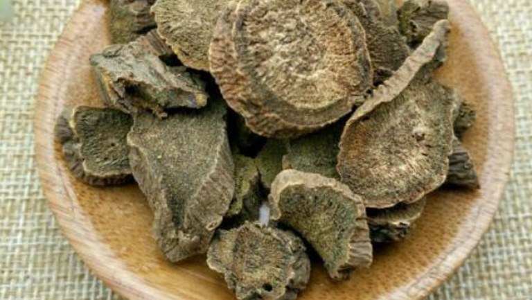牛耳大黄的功效与作用、禁忌和食用方法