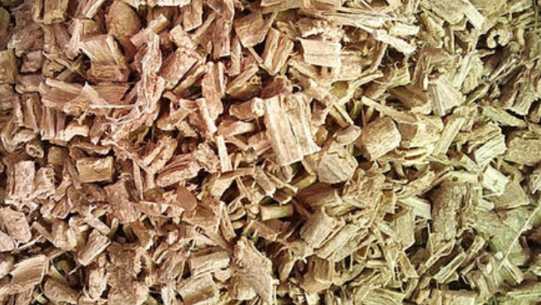 丢了棒的功效与作用、禁忌和食用方法