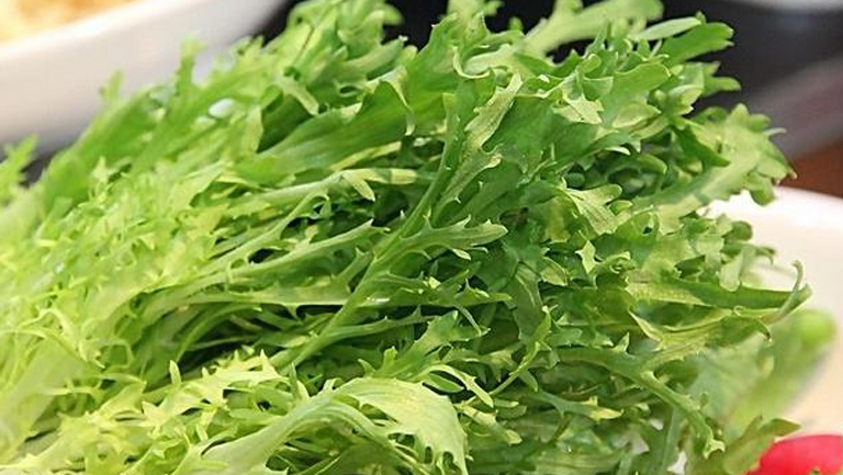 苦苣的功效与作用、禁忌和食用方法