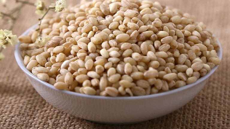 小麦米的功效与作用、禁忌和食用方法