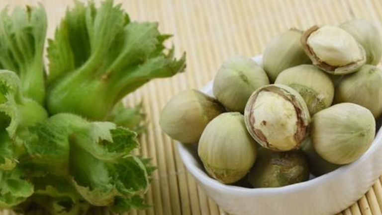 青皮榛子的功效与作用、禁忌和食用方法