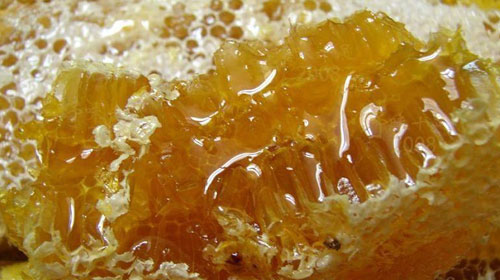 土蜂蜜的功效与作用、禁忌和食用方法