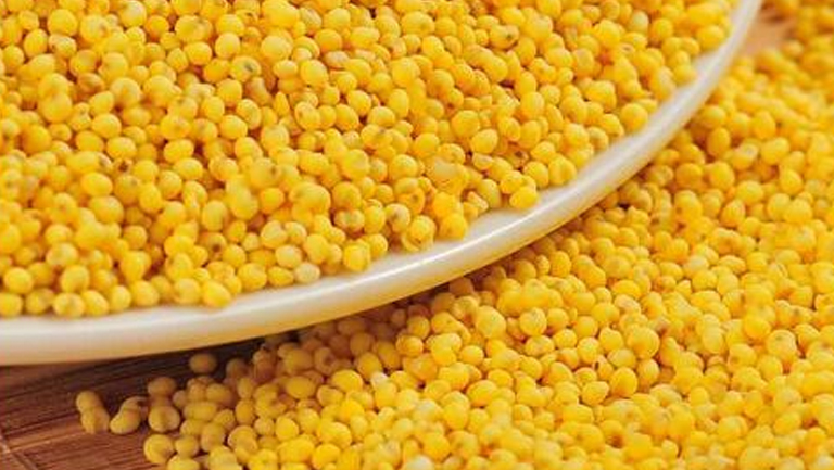 大黄米的功效与作用、禁忌和食用方法
