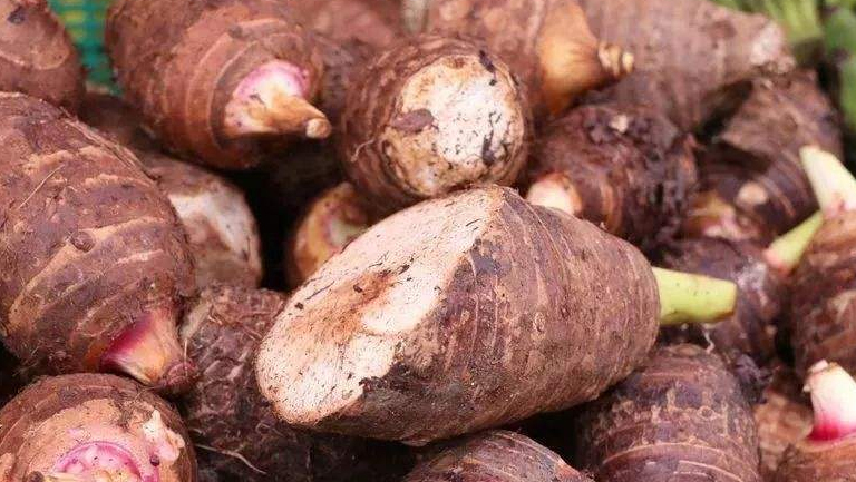 山芋头的功效与作用、禁忌和食用方法