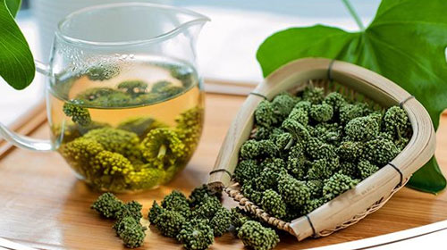 三七花泡水的功效与作用、禁忌和食用方法