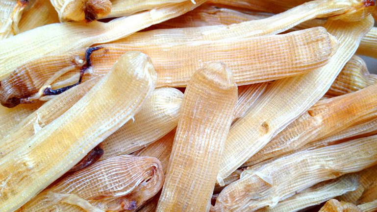 沙虫干的功效与作用、禁忌和食用方法