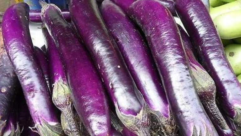 生茄子的功效与作用、禁忌和食用方法
