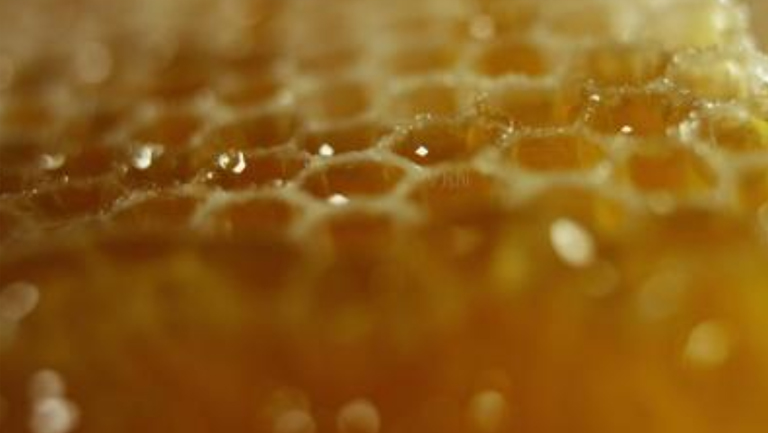 蜜蜂糖的功效与作用、禁忌和食用方法