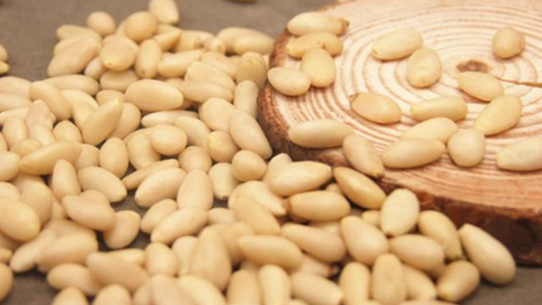 松子仁的功效与作用、禁忌和食用方法
