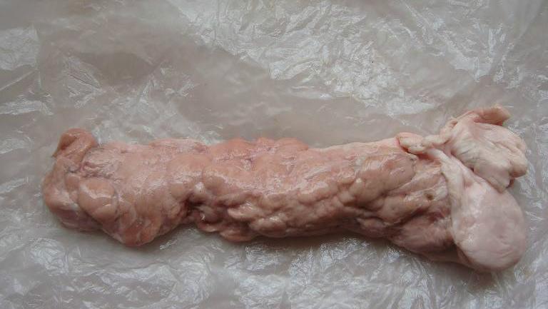 猪胰腺的功效与作用、禁忌和食用方法