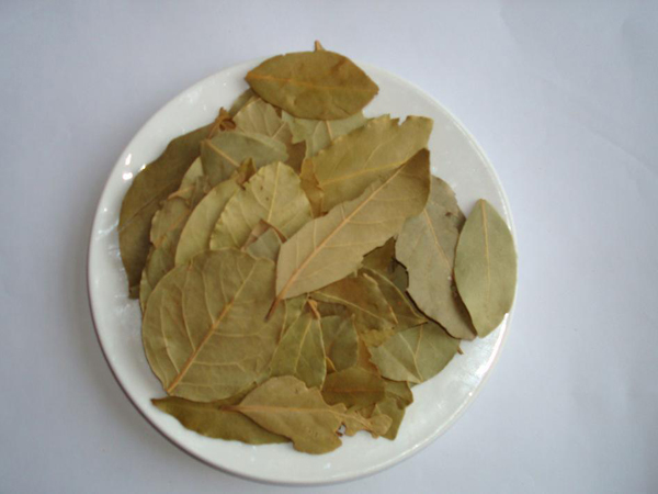 香叶的功效与作用、禁忌和食用方法