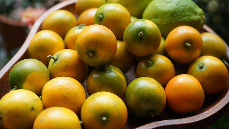 小金桔的功效与作用、禁忌和食用方法