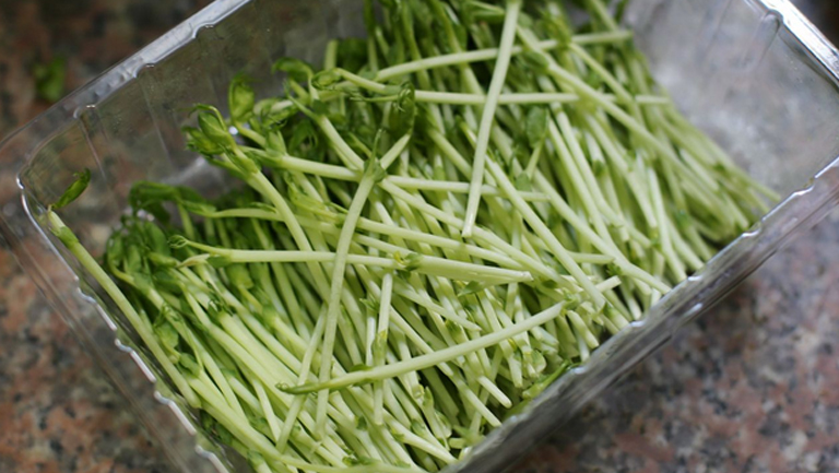 豆苗的功效与作用、禁忌和食用方法