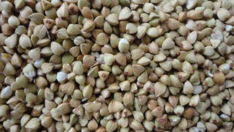 荞麦仁的功效与作用、禁忌和食用方法