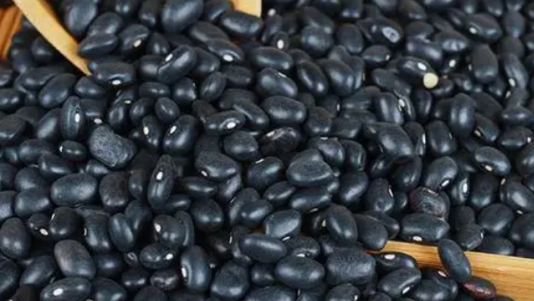 黑芸豆的功效与作用、禁忌和食用方法