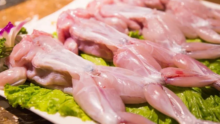 蛙肉的功效与作用、禁忌和食用方法