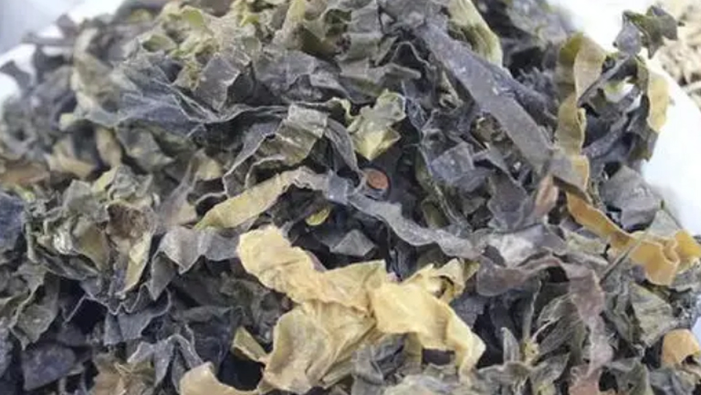 昆布海藻汤的功效与作用、禁忌和食用方法