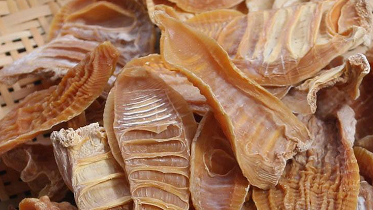 干竹笋的功效与作用、禁忌和食用方法