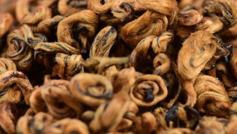 金螺的功效与作用、禁忌和食用方法