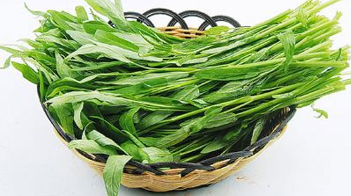 空心菜的功效与作用、禁忌和食用方法