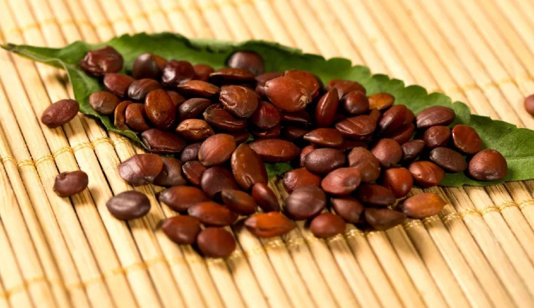 红枣仁的功效与作用、禁忌和食用方法