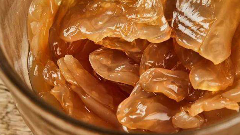 海蜇头的功效与作用、禁忌和食用方法