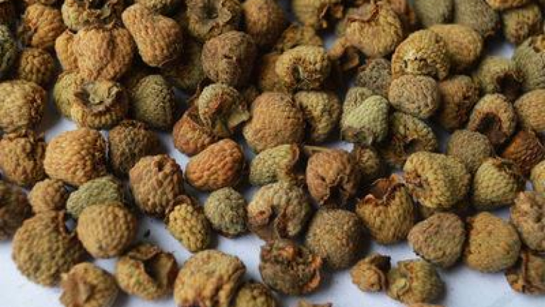 覆盆子茶的功效与作用、禁忌和食用方法