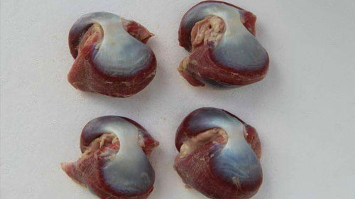 鹅肫的功效与作用、禁忌和食用方法