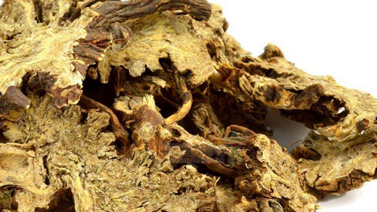 藁本的功效与作用、禁忌和食用方法