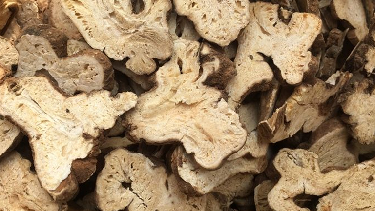白术的功效与作用、禁忌和食用方法