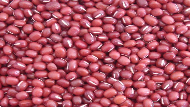 赤小豆的功效与作用、禁忌和食用方法