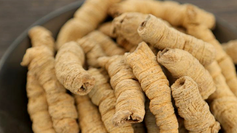 鸡肠风的功效与作用、禁忌和食用方法