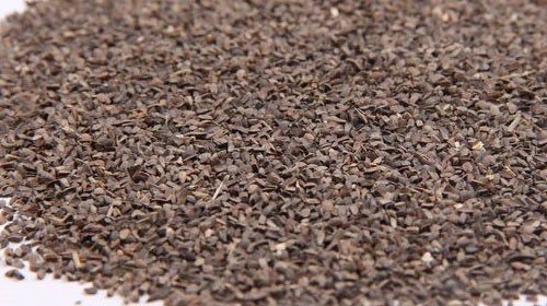 茺蔚子的功效与作用、禁忌和食用方法