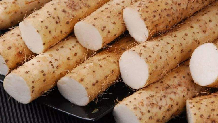 白山药的功效与作用、禁忌和食用方法