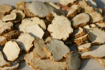 白当归的功效与作用、禁忌和食用方法