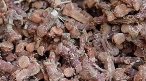 高良姜的功效与作用、禁忌和食用方法