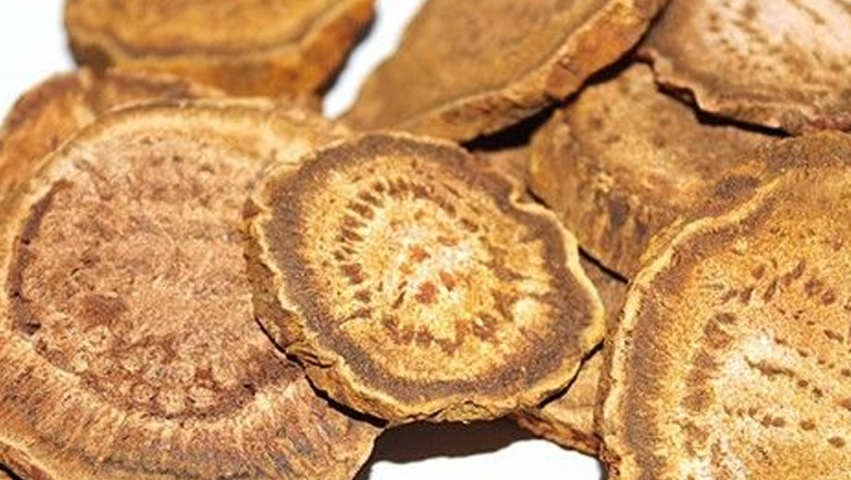 大黄的功效与作用、禁忌和食用方法